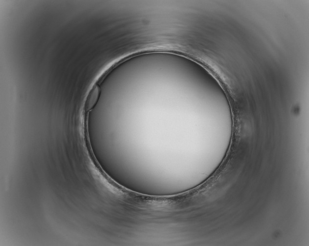 X0000097961468200803241030
