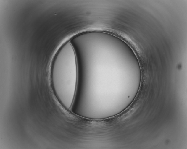 X0000097961469200803241030