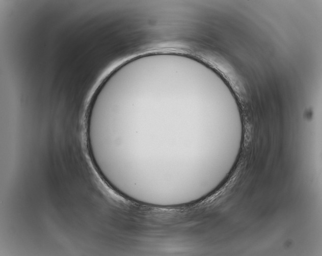 X0000097961470200803241030