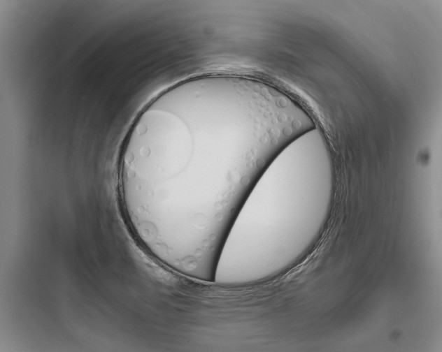 X0000097961471200803241030