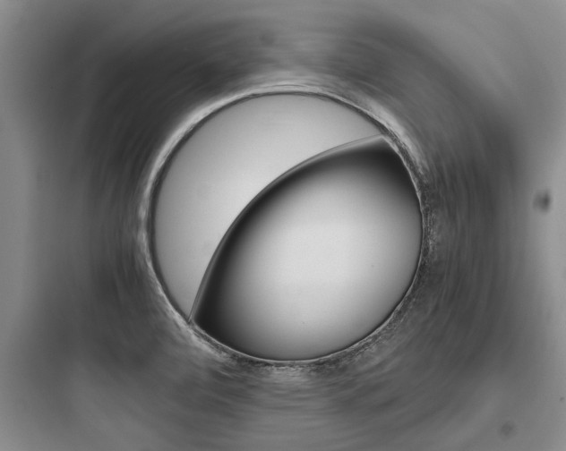 X0000097961472200803241030