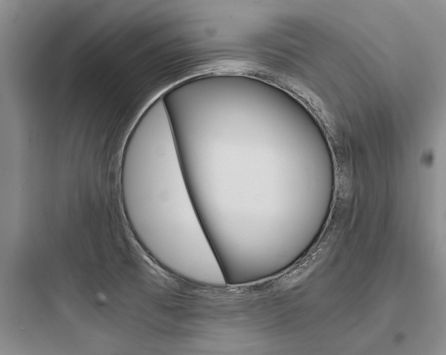 X0000097961473200803241030