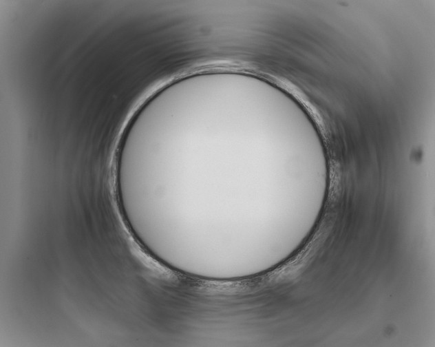 X0000097961474200803241030