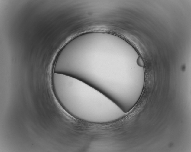 X0000097961475200803241030