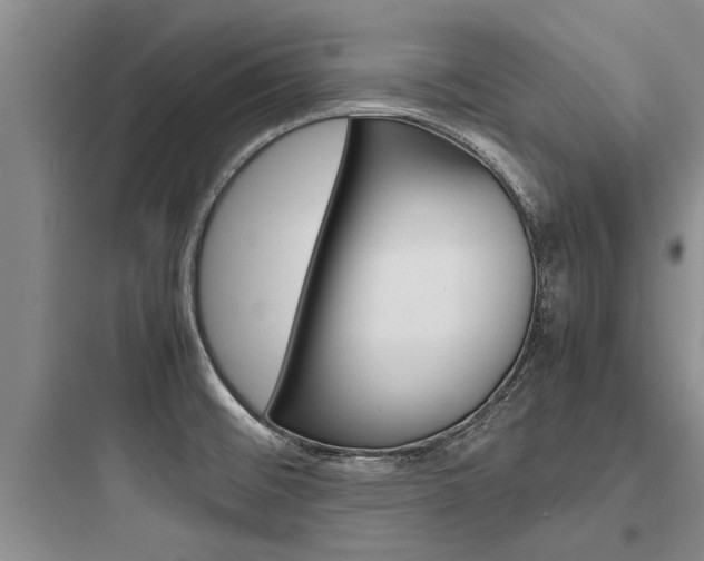 X0000097961476200803241030