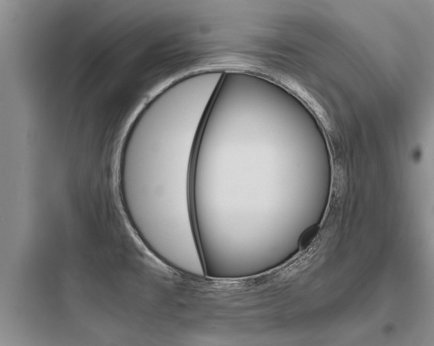 X0000097961477200803241030