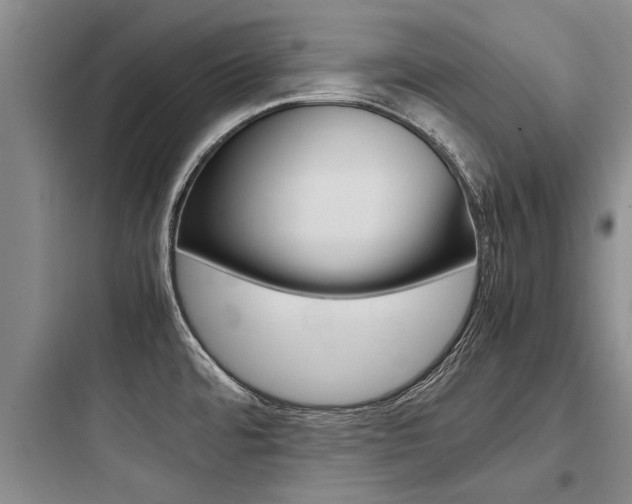X0000097961480200803241030