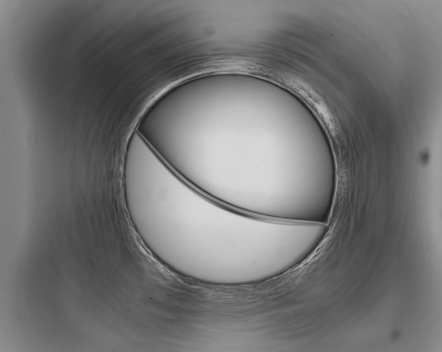 X0000097961481200803241030