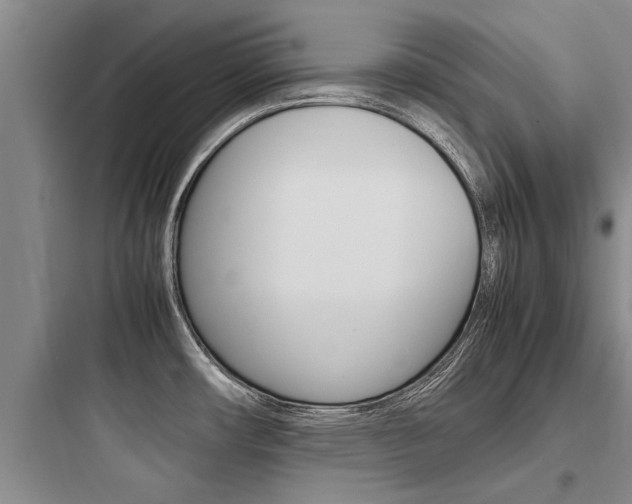 X0000097961482200803241030