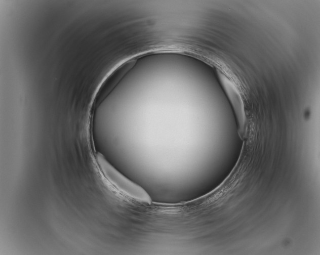 X0000097961484200803241030