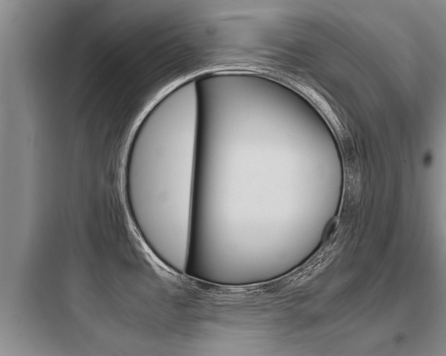 X0000097961485200803241030