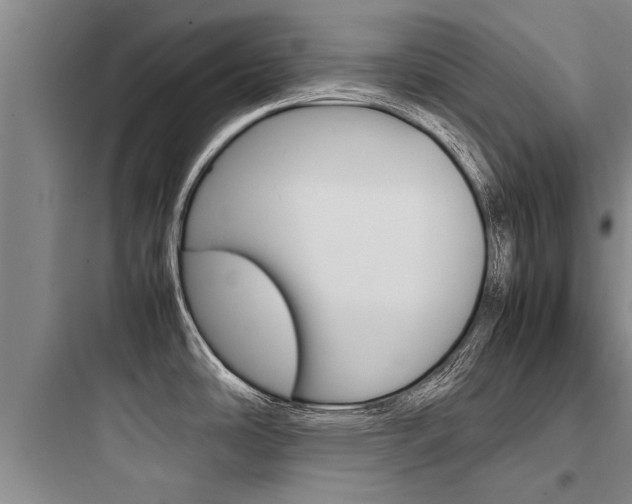 X0000097961486200803241030