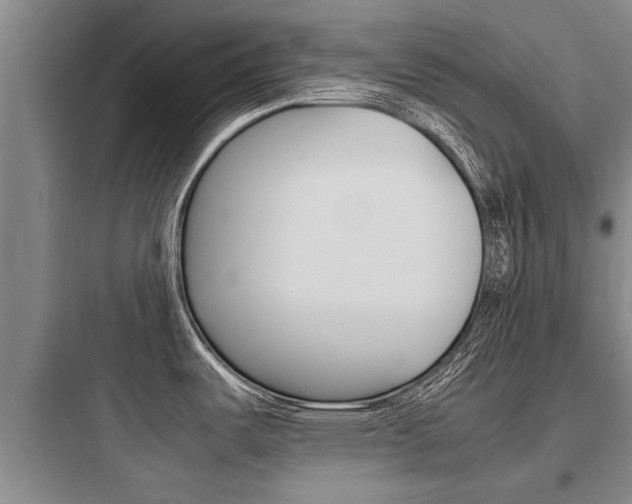 X0000097961487200803241030