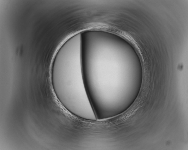 X0000097961488200803241030