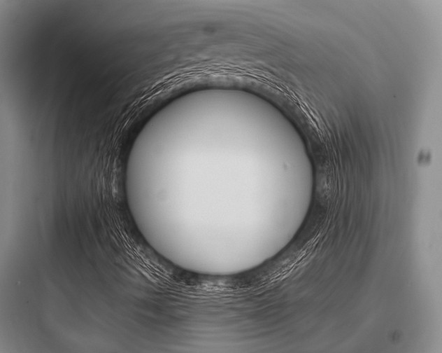 X0000097961490200803241029
