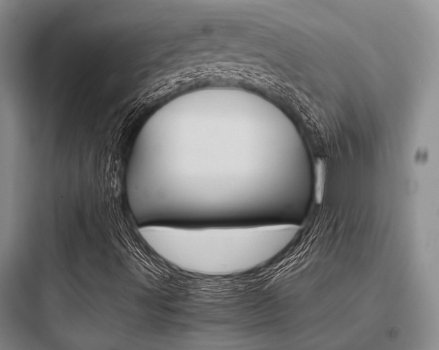 X0000097961491200803241029