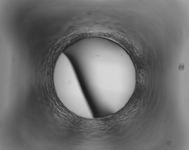 X0000097961493200803241029