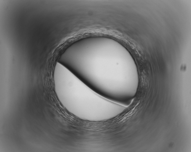 X0000097961494200803241029