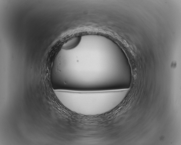 X0000097961495200803241029