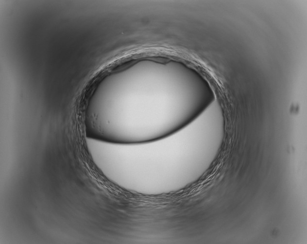 X0000097961496200803241029