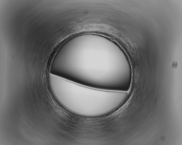 X0000097961497200803241029