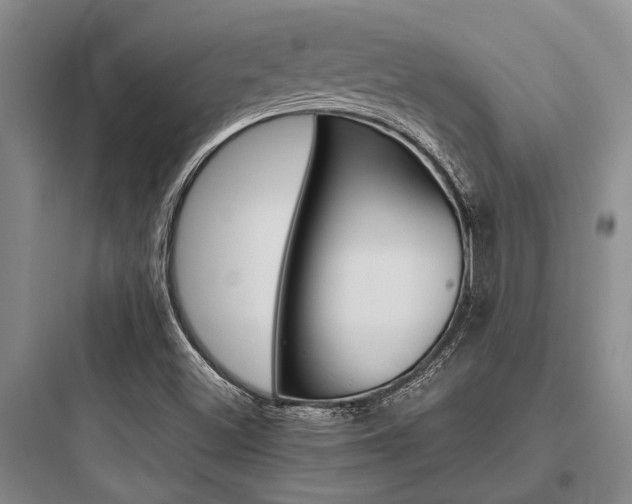X0000097961500200803241029