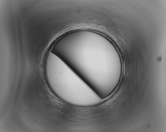 X0000097961501200803241029