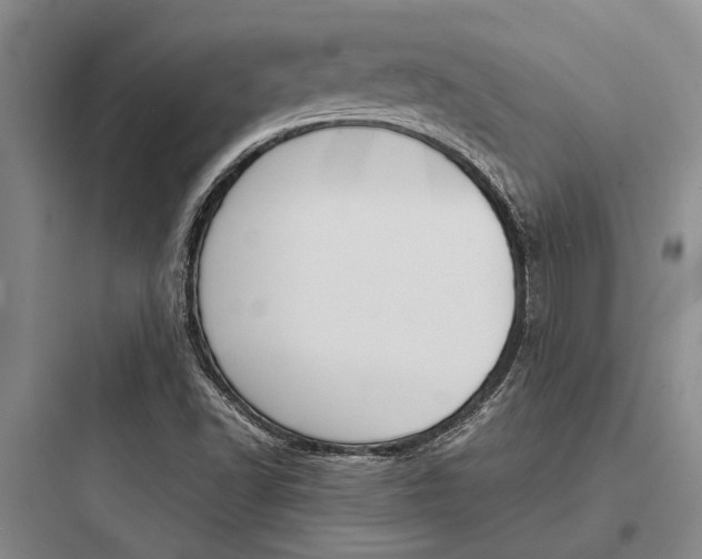 X0000097961502200803241029