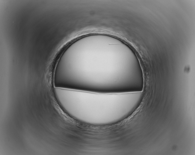 X0000097961503200803241029