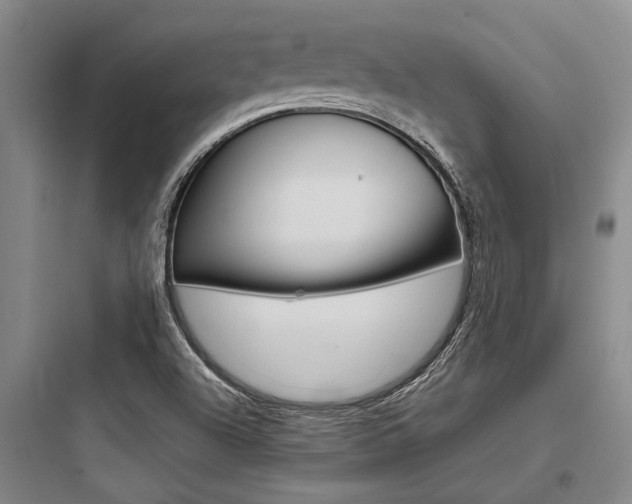 X0000097961504200803241029
