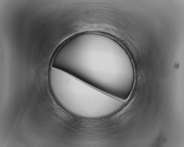 X0000097961505200803241029