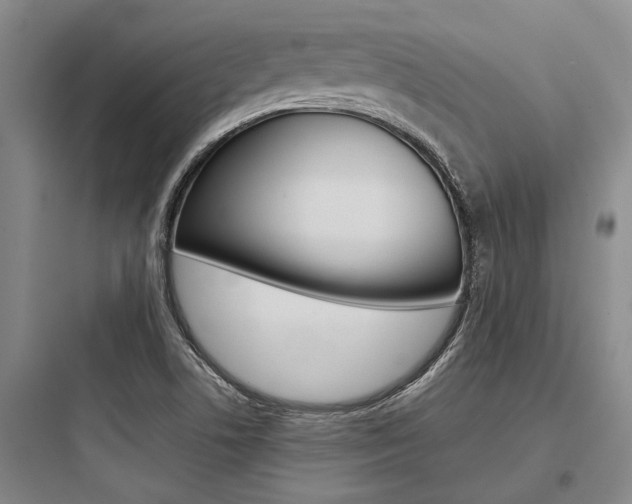 X0000097961506200803241029