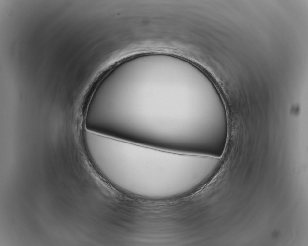 X0000097961507200803241029