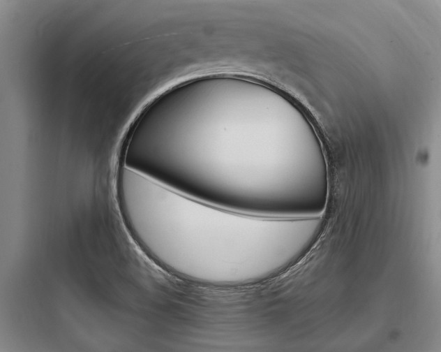 X0000097961508200803241029