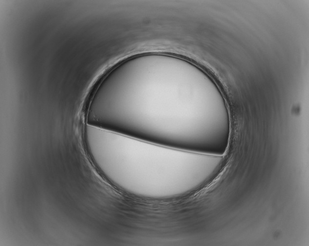 X0000097961509200803241029