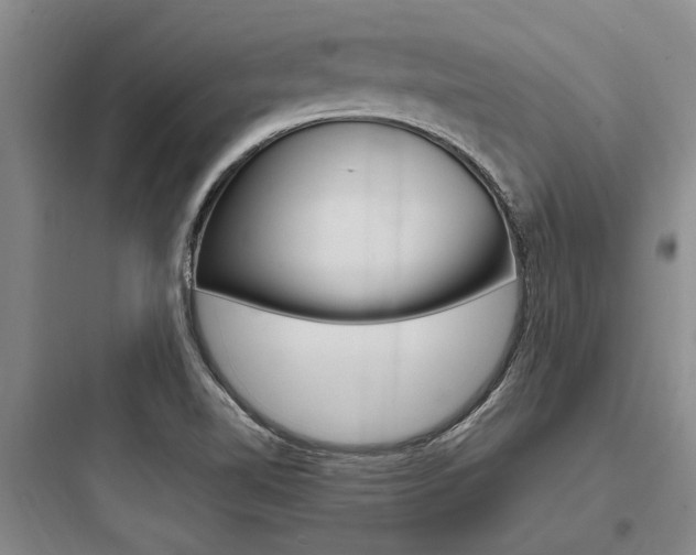 X0000097961510200803241029
