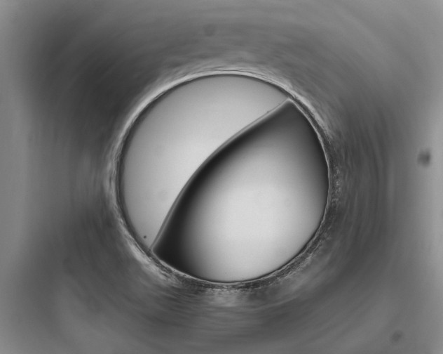 X0000097961511200803241029
