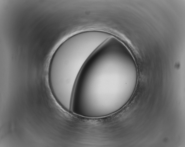 X0000097961512200803241030