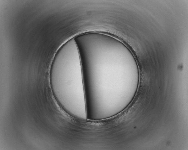 X0000097961513200803241030