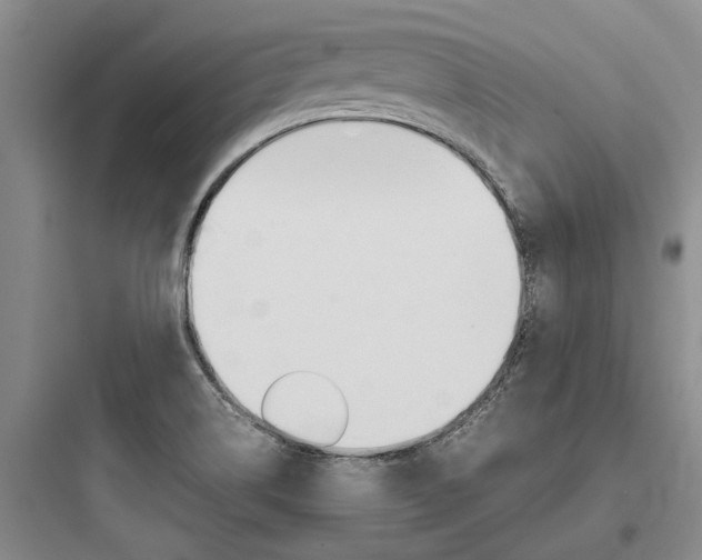 X0000097961514200803241030