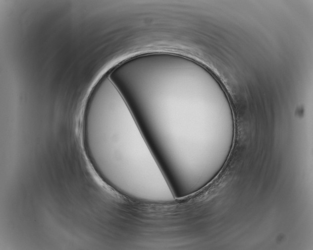 X0000097961515200803241030