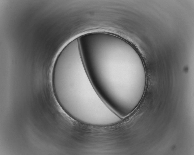 X0000097961516200803241030