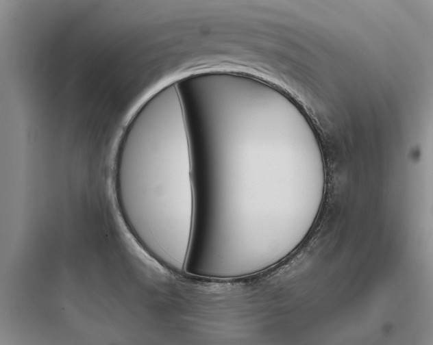 X0000097961518200803241030
