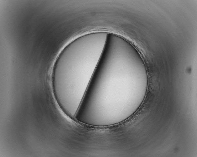 X0000097961519200803241030
