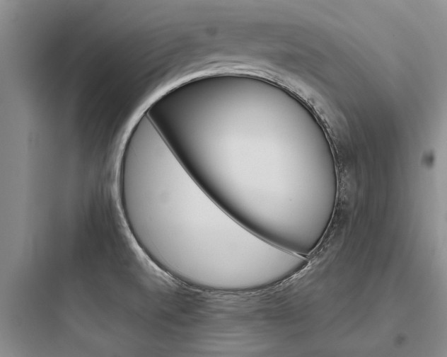 X0000097961520200803241030