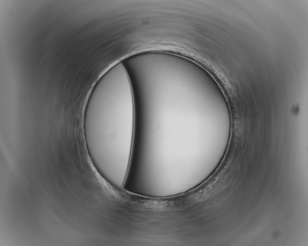 X0000097961521200803241030