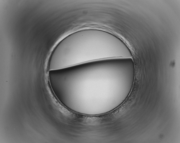 X0000097961522200803241030