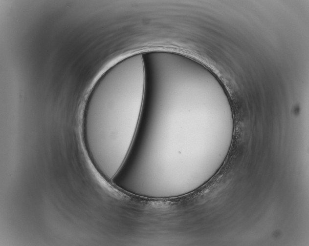 X0000097961523200803241030