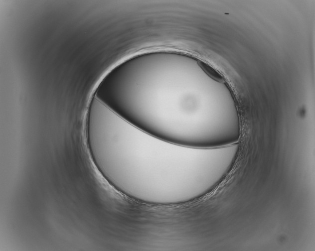 X0000097961524200803241030