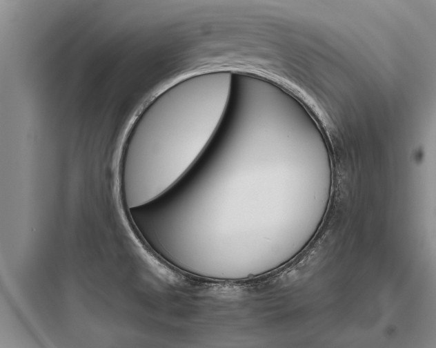 X0000097961525200803241030
